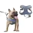 Pechera Arnes + Trailla Para Perro Talla M