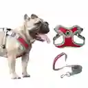 Pechera Arnes + Trailla Para Perro Talla M
