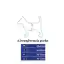Pechera Arnes + Trailla Para Perro Talla M