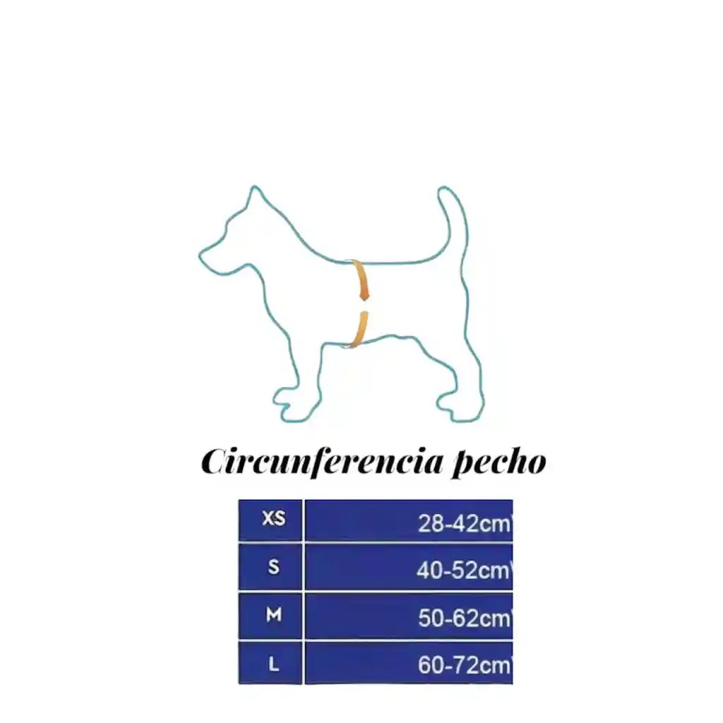 Pechera Arnes + Trailla Para Perro Talla M
