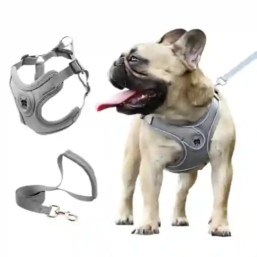 Pechera Arnes + Trailla Para Perro Talla M