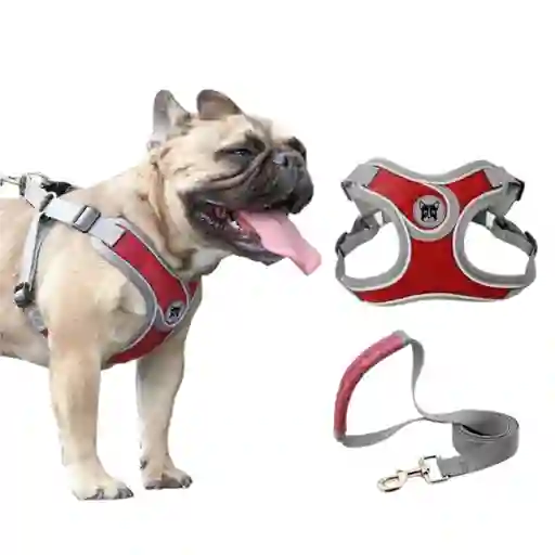 Pechera Arnes + Trailla Para Perro Gato Talla S