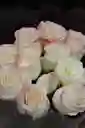 Ramo De 12 Rosas Cherry