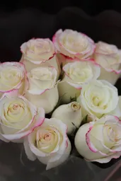 Ramo De 12 Rosas Cherry