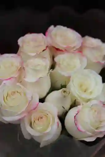 Ramo De 12 Rosas Cherry