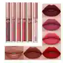 Kit Labiales X6