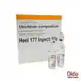 Ubichinon Compositum X 2.2 Ml