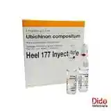 Ubichinon Compositum X 2.2 Ml