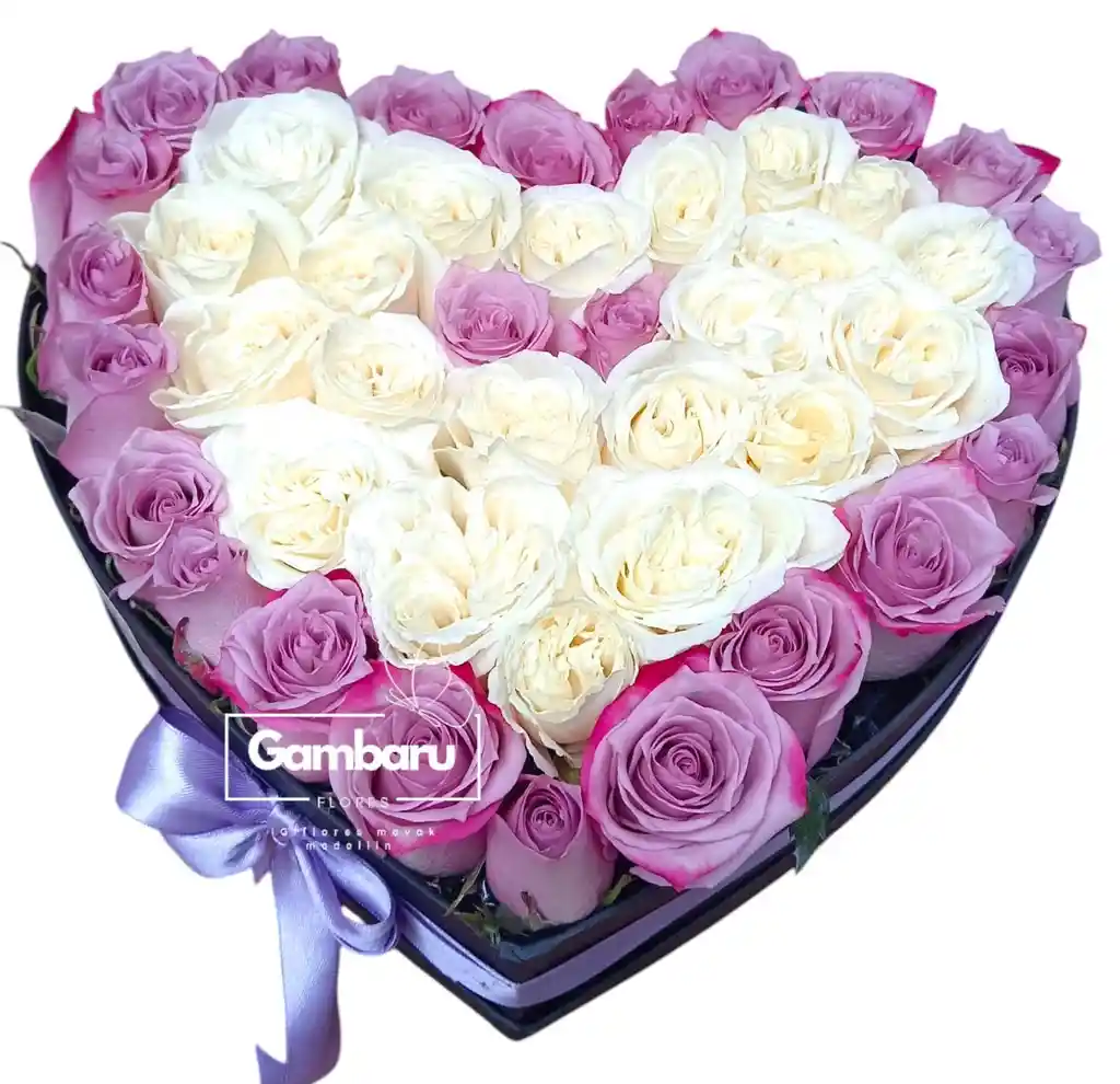 Flores Rosas Corazón Purple Boom