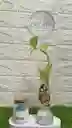 Regalo Especial Con Planta Y Vela Aroma