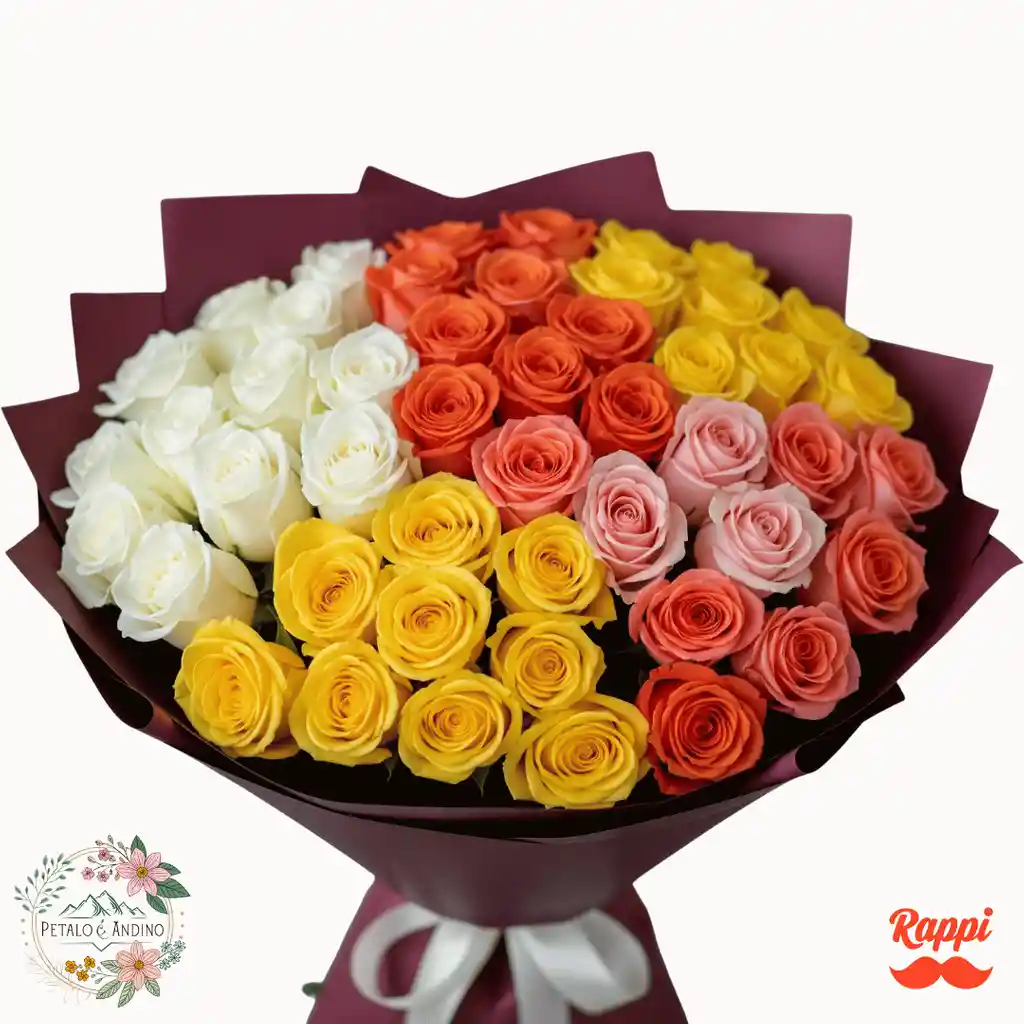 Rosas Arcoíris Andino