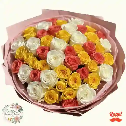 Rosas Alegría Primaveral X50