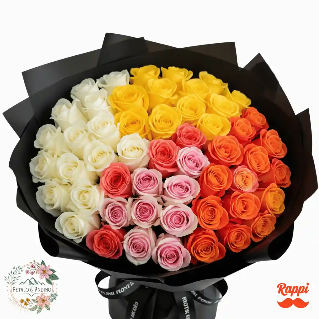 Rosas Elegancia Contrastante X50