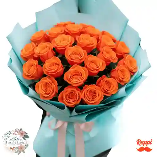 Rosas Cielo Amanecer X24
