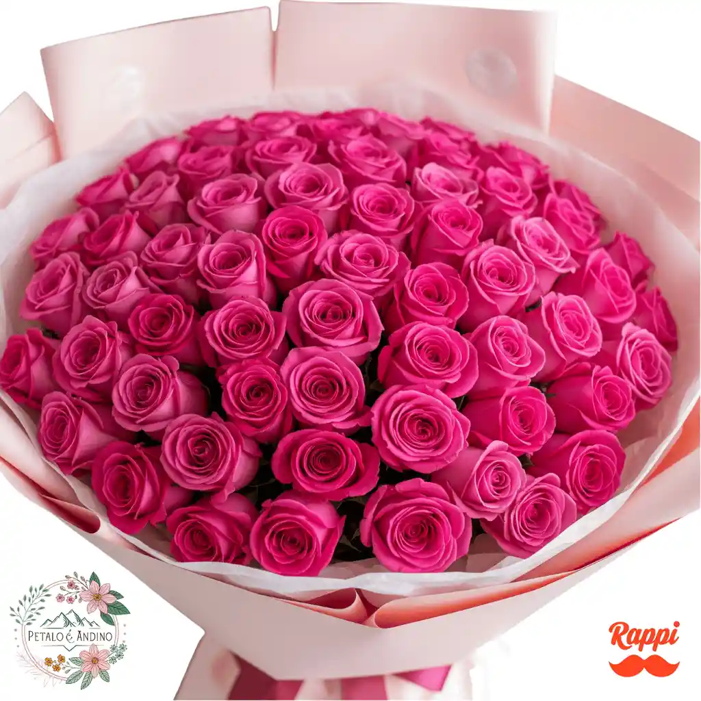 Rosas Pink Floyd Deslumbrante X50