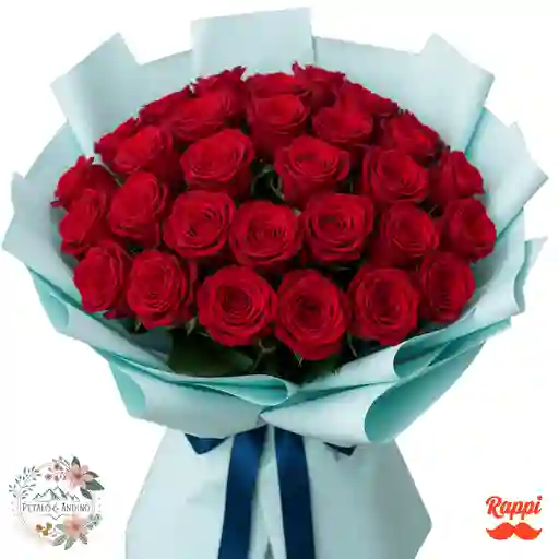 Rosas Pasión Celestial X24