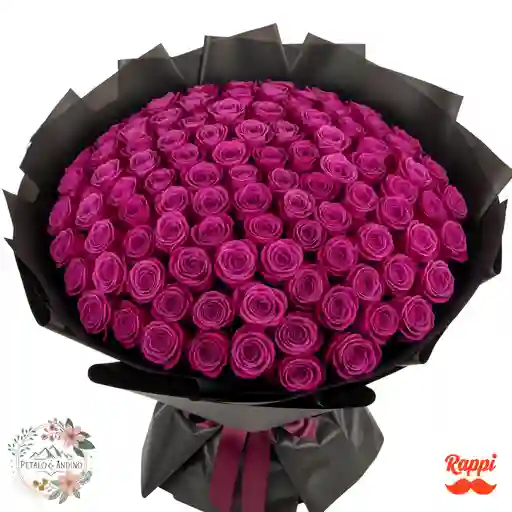 Rosas Fucsia Real X100
