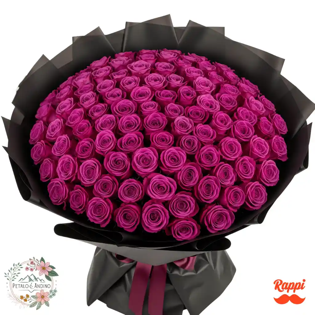 Rosas Fucsia Real X100