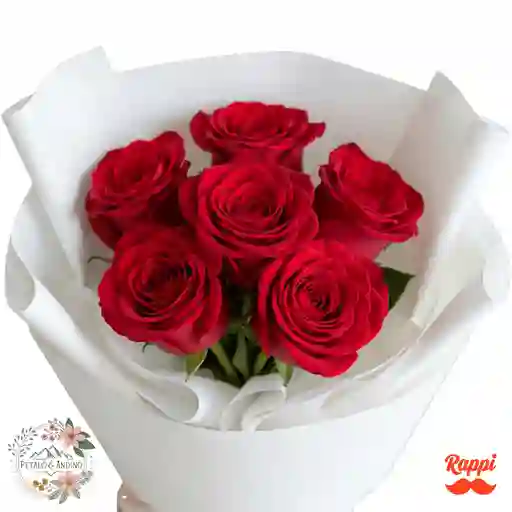 Rosas Pasión Pura X6