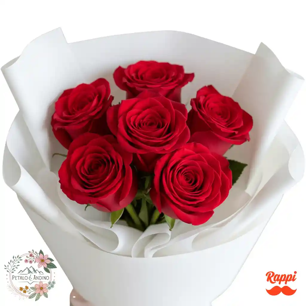 Rosas Pasión Pura X6