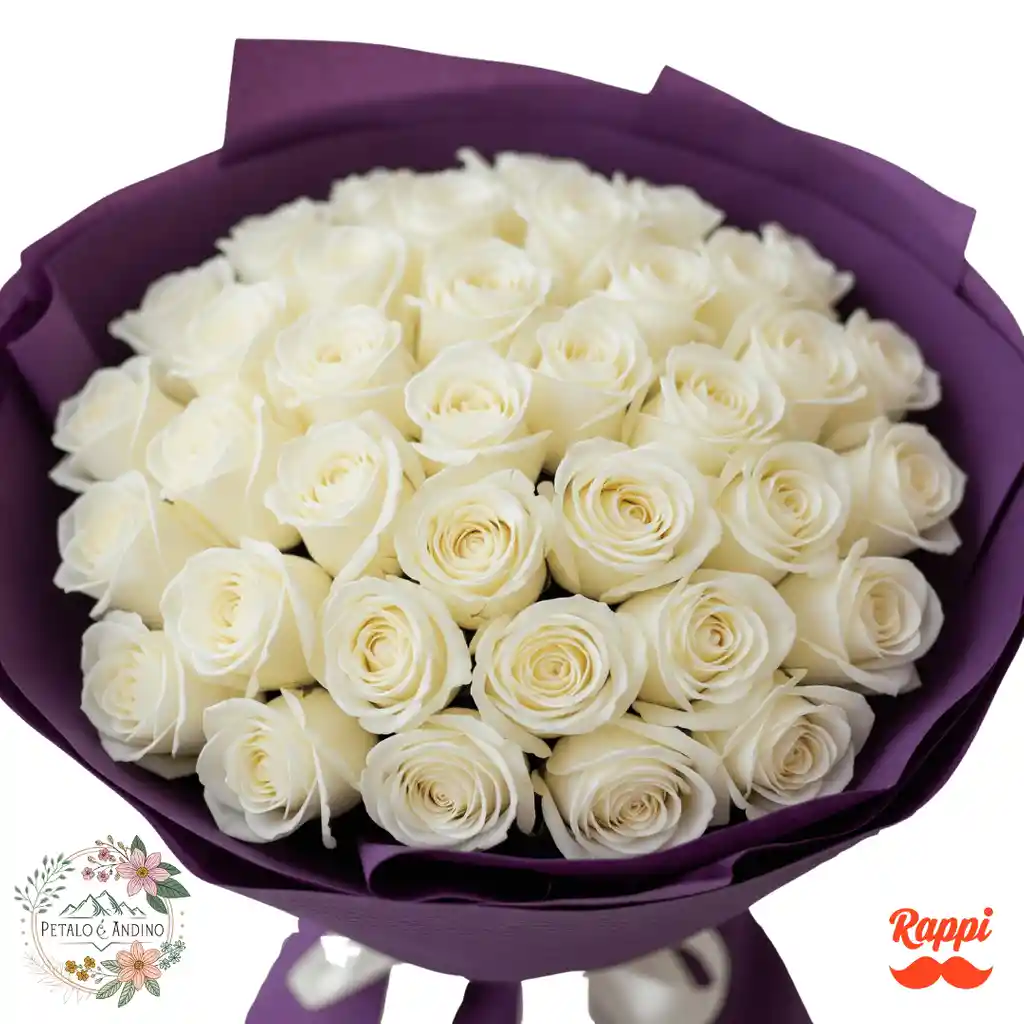 Rosas Pureza Blanca X24