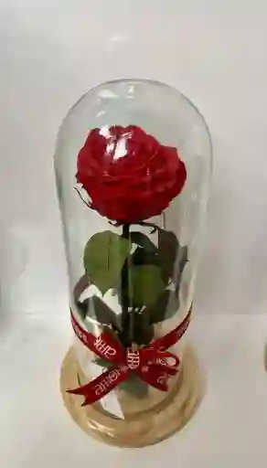 Flor Preservada Roja