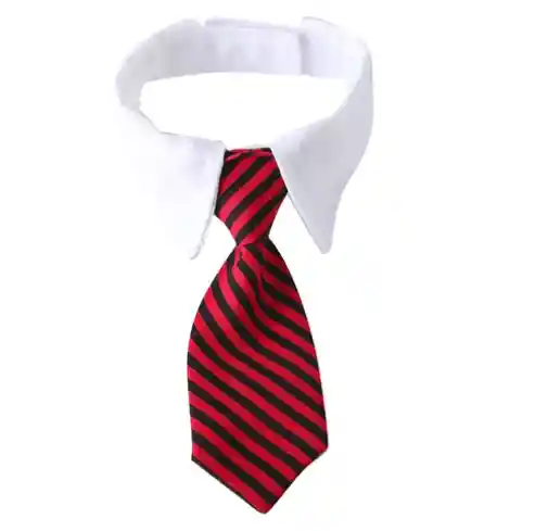 🐾 Corbata Ajustable Para Gato O Perro – Estilo Y Comodidad