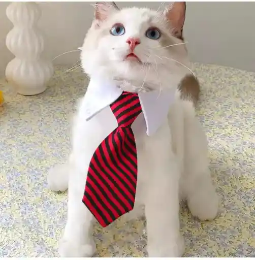 🐾 Corbata Ajustable Para Gato O Perro – Estilo Y Comodidad