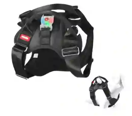 Pechera Arnés Con Luz Led Para Perros – Seguridad Y Estilo En Cada Paseo
