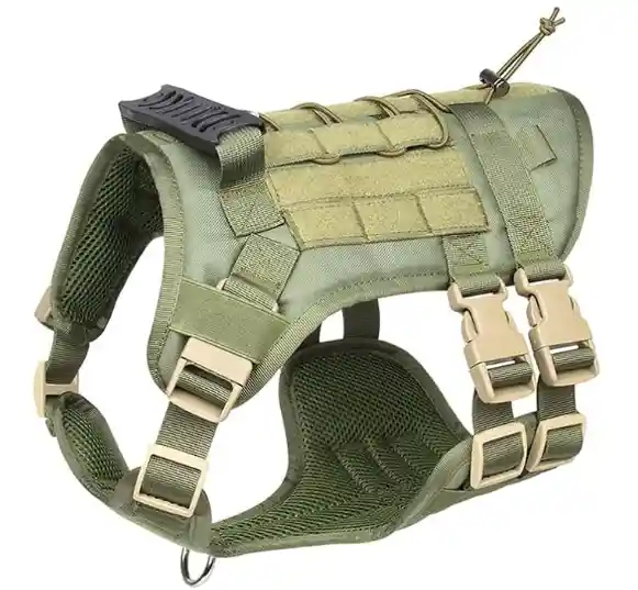 Pechera Militar