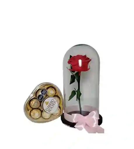 Rosa Preservada