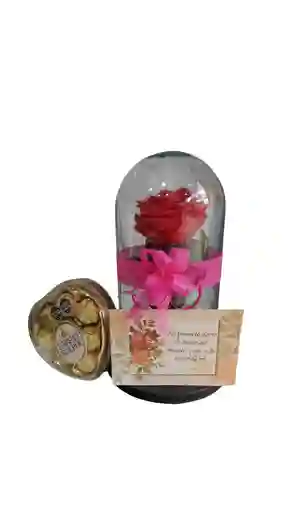 Rosa Preservada Fucsia