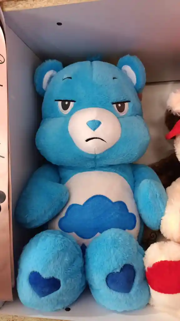 Osito Cariñosito