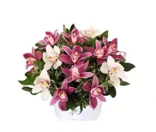 Cilindro De Orquideas