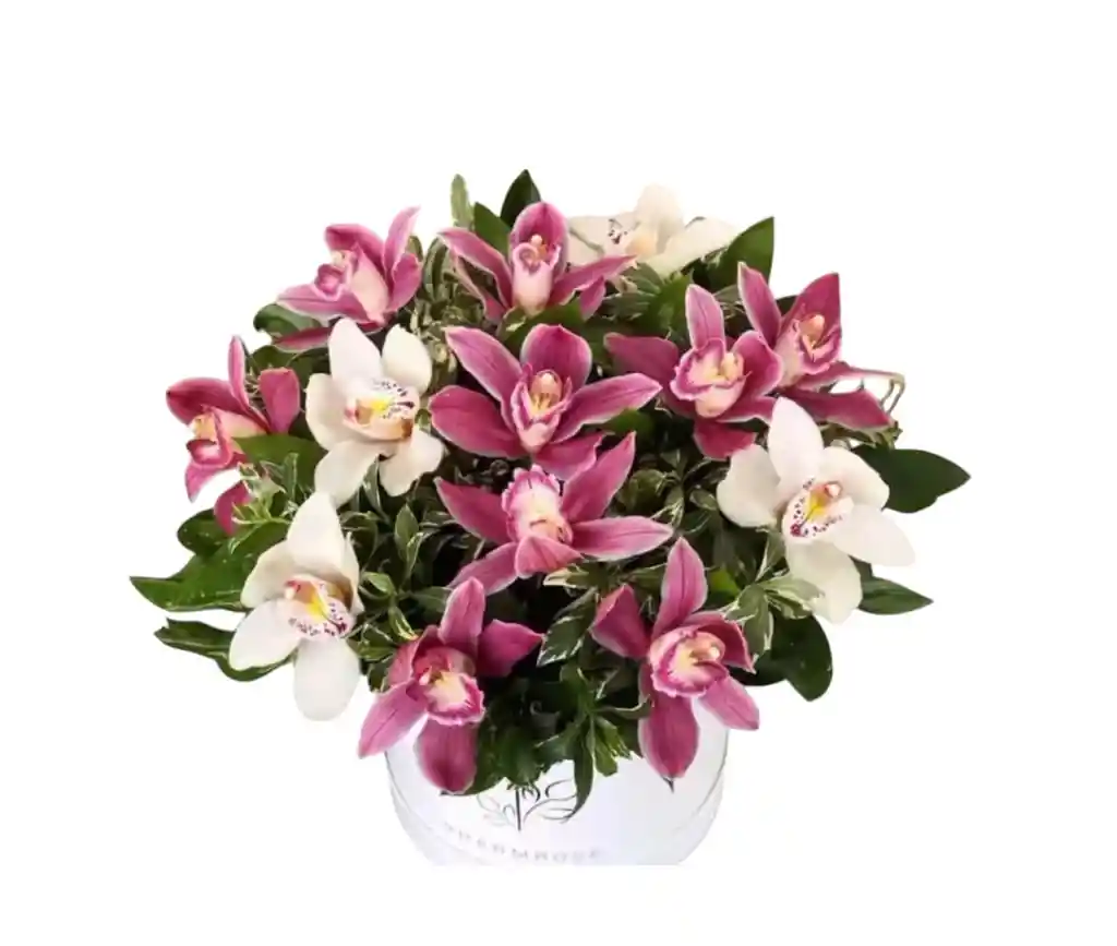 Cilindro De Orquideas