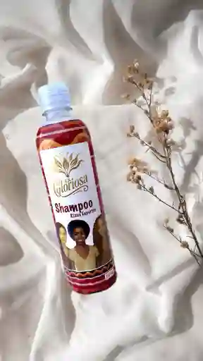 Shampoo Rizos Expertos