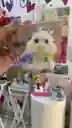 Muñeco Slime