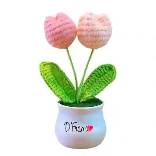 Mini Tulipan