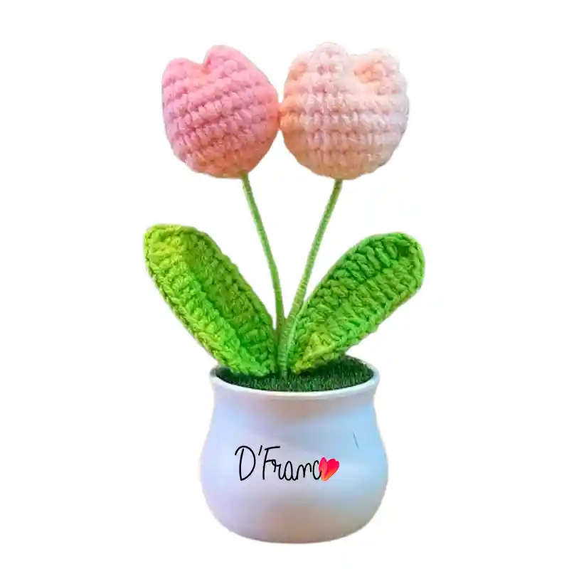 Mini Tulipan