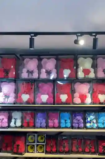 Oso Teddy