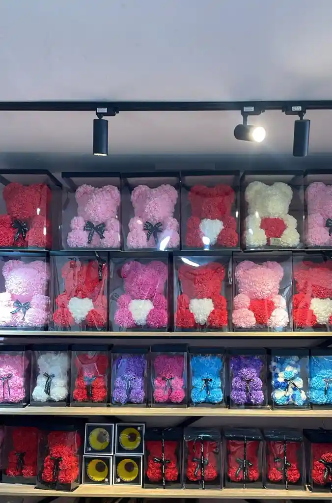 Oso Teddy