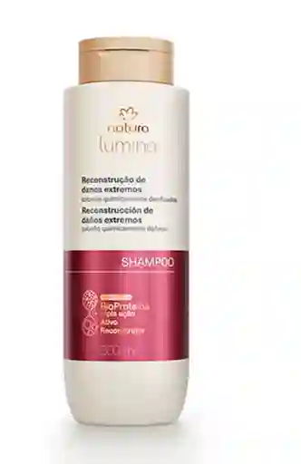 Shampoo Re Estructurante Cabellos Quimicamente Dañados