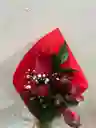 Rosa ,astromelia
