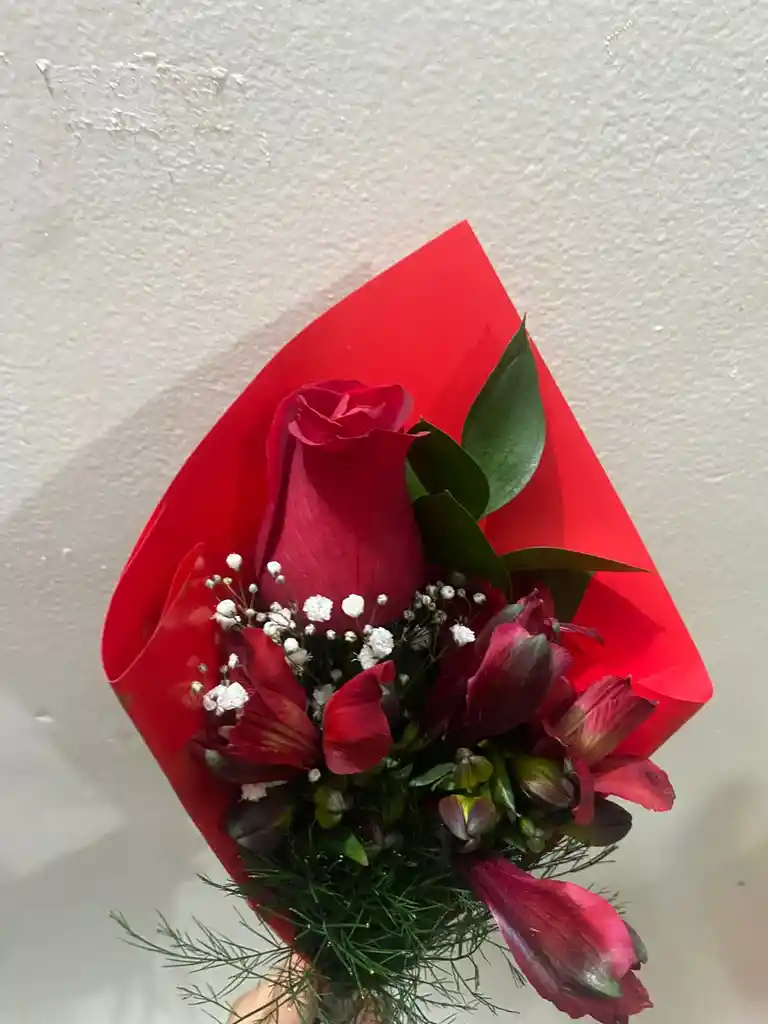 Rosa ,astromelia