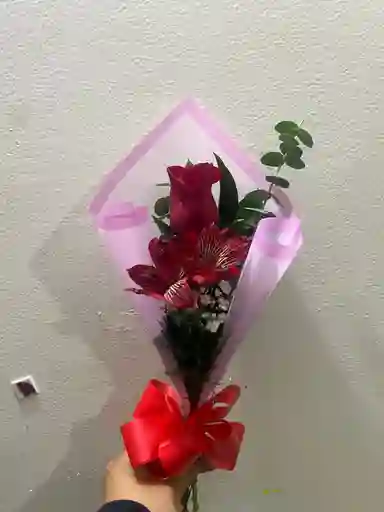 Rosa ,astromelia