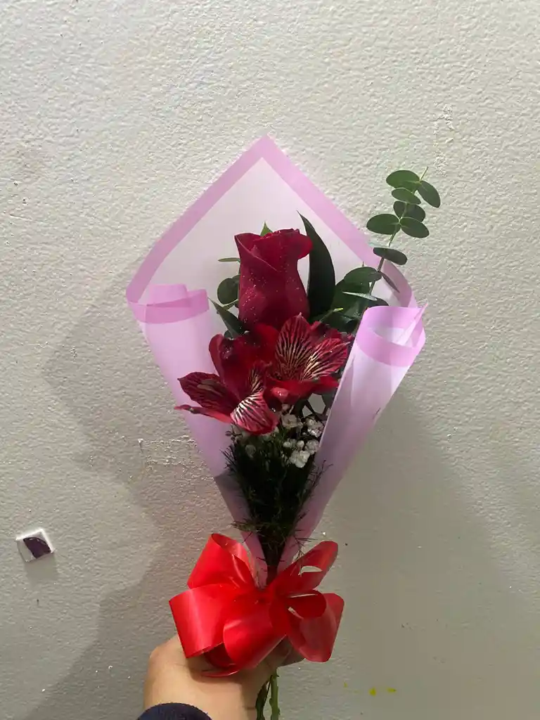 Rosa ,astromelia