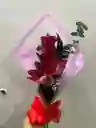 Rosa ,astromelia