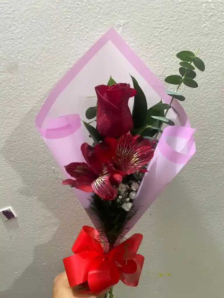 Rosa ,astromelia