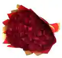 Ramo De 50 Rosas Rojas – Amor Sin Límites
