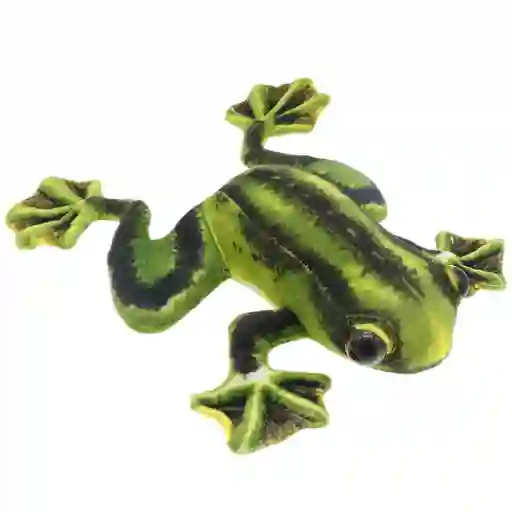 Peluche Rana Real 25 Cm Fina